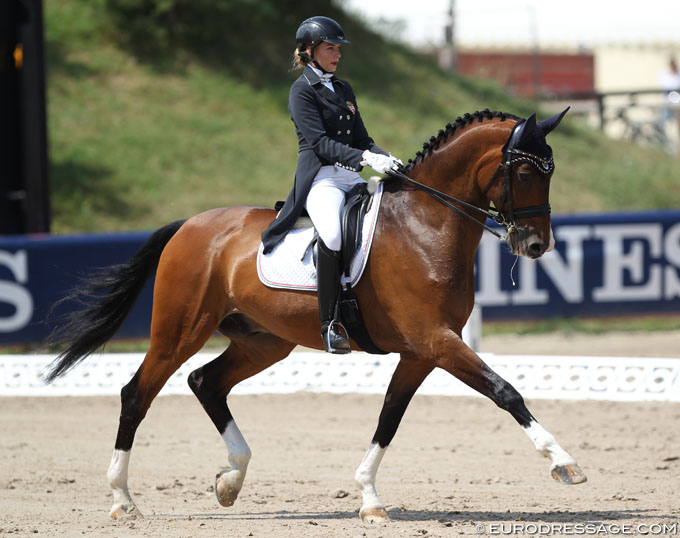 FEI Dressage Horse for Sale Leopold