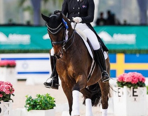 Hope Beerling and Sternentanzer at the 2024 CDI-W Wellington :: Photo © Lauren Pitylak