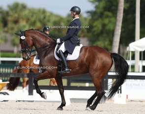 Aaron Janicki on his next rising Grand Prix horse, Jinicole M (by Expression x Gribaldi) - one to watch ! :: Photos © Astrid Appels