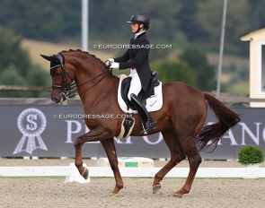 Larissa Pauluis and First Step Valentin at the 2023 CDI Hagen September edition :: Photo © Astrid Appels