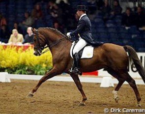 KWPN stallion Kimberly (by Cabochon)