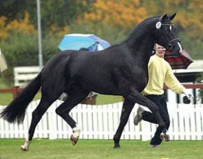 His Highness at the 2002 Hanoverian Stallion Licensing