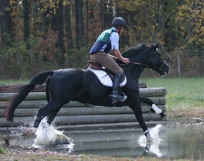 Seventh: Richmond H.L, a 2004 Rotspon x Davignon stallion owned and bred by Lucile Mulky, Chapel Hill, NC