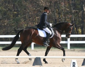 The winner of the testing: KWPN stallion Wamberto (by Rousseau x Voltaire) - owned by Harmony Sporthorses, Kiowa, CO