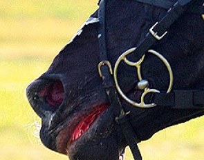 Blood in an eventing horse's mouth at the 2008 CCI Kreuth :: Photo © Julia Rau