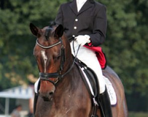Thomas Lassen and Hero Flower at the 2008 World Young Horse Championships :: Photo © Astrid Appels