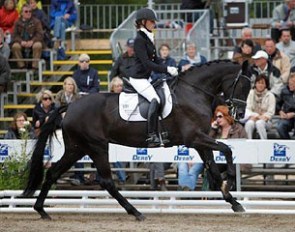 Stella Piccolina as a 3-year old at the 2009 Bundeschampionate
