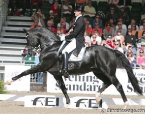 Edward Gal's Totilas in the extended trot