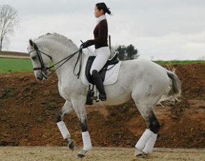 Daphne Vandeplas on the Oldenburg stallion Rubinrot