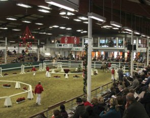 The arena during the 2011 Westfalian Pony Stallion Licensing