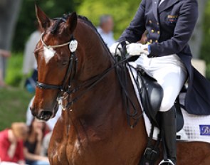 Rozzie Ryan and GV Bullwinkle at the 2012 CDI Compiegne in France :: Photo © Astrid Appels