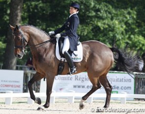 New Zealand's Vanessa Way and KH Arvan at the 2012 CDI Compiegne :: Photo © Astrid Appels