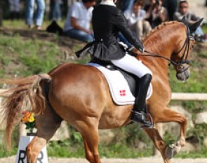 Danish Kristine Koch Bejstrup on Dornick Son. Koch will be competing a second FEI pony next year, Morgan Barbancon's former FEI pony Don't Forget.