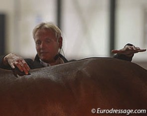 Jarko Dun: "I always start to look at a horse at the centre, the position of the spine, the muscle position. The line in the centre tells me he's also a bit tense."