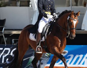 Giulia Gasztecki on the pony Vom Feinsten in the Prix St Georges Special
