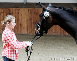 Alice Campanella and Bentley PP at the vet inspection at the 2012 CDI Radzionkow :: Photo © Lukasz Kowalski