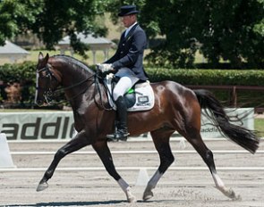 Deon Stokes and Bellario at the 2012 Australian Dressage Championships in Sydney :: Photo © Franz Venhaus