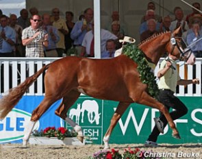 Liliefee, champion of the 2012 Hanoverian Elite Mare Show :: Photo © Christina Beuke