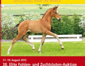 The 2012 Hanoverian Elite Foal and Broodmare Auction in Verden