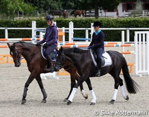 Walking together with a show jumper in the outdoor arena