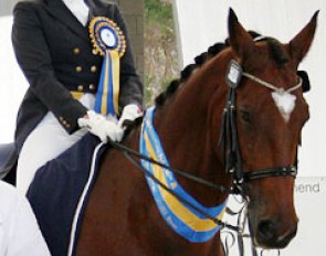 Rozzie Ryan and GV Bullwinkle win big at the 2013 CDI Boneo