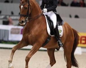 Adelinde Cornelissen and Parzival at the 2013 CDI-W 's Hertogenbosch :: Photo © Astrid Appels