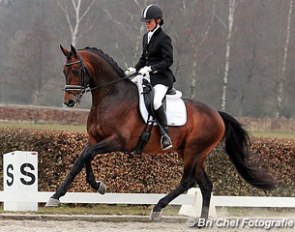 Lobke de Jong and Cirano (by United x Jazz) at the Dutch WCYH Selection Trial :: Photo © Bri'Chel Fotografie