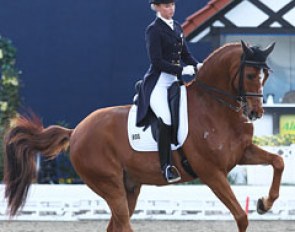Fabienne Lutkemeier on her second Grand Prix horse Qui Vincit Dynamis (by Quattro B x Calypso II)