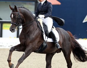 Tanya Seymour on the drop dead gorgeous liver chestnut stallion Ramoneur (by Rohdiamant x Alabaster)