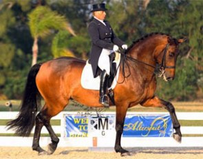 Evi Strasser and Rigaudon Tyme at the 2013 CDI-W Loxahatchee