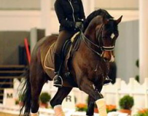 Sophie Kampmann on her new junior riders' horse, Roman Nature