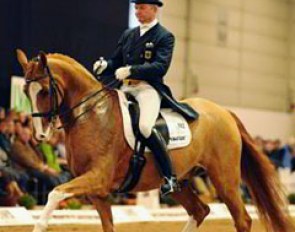 An old pair re-united: Hubertus Schmidt is back in the saddle of Donnelly and will be competing him for the 2013 show season. Emma Kanerva will be focusing on her three GP horses: Spirit, Santos and Heimliche Liebe