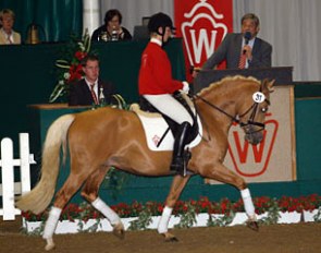 Top selling pony Classic's Charmeur