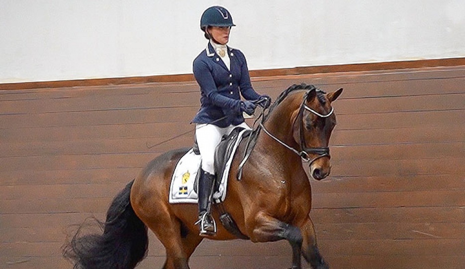 Minna Telde and Devin Franco GJ at the 2024 SWB Stallion Performance Test :: Photo © Michaela Swärd/SWB