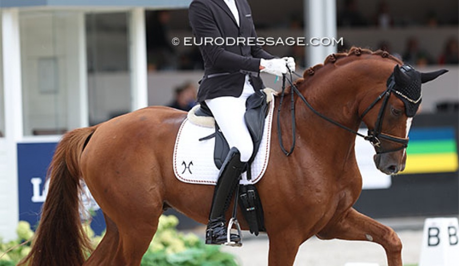 Thomas Schulze and Beck's at the 2023 World Young Horse Championships :: Photo © Astrid Appels