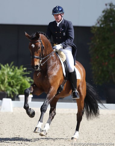 German born Christian Zimmermann, who is riding for Palestine, is trying for WEG with Roble AR which he began competing in 2011