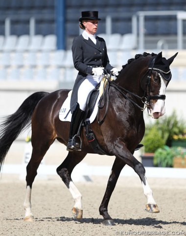 Sabine Tesch on the American bred Dutch warmblood Zanzibar (by Consul x Farmer), who was previously owned by Katie Riley