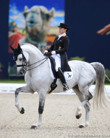 Isabell Werth on Belantis. The popular breeding stallion still looked green at Grand Prix. With his long back and soft loins it is not the easiest for him to engage the hindlegs in passage. Still work in progress