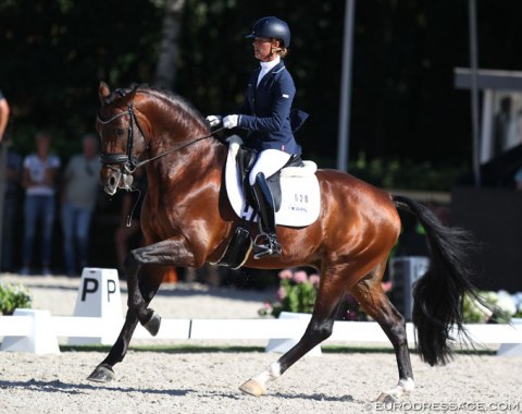 Adelinde Cornelissen on the Gelderlander bred Henkie (by Alexandro P x Upperville). The powerful mover showed strong trot work but there was major resistance in the first flying change which dropped the submission score