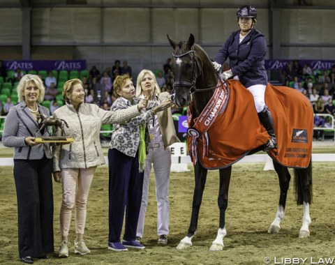 Caroline Smith and Quendrix at the champion of champions at the 2019 NZL Young Horse Championships