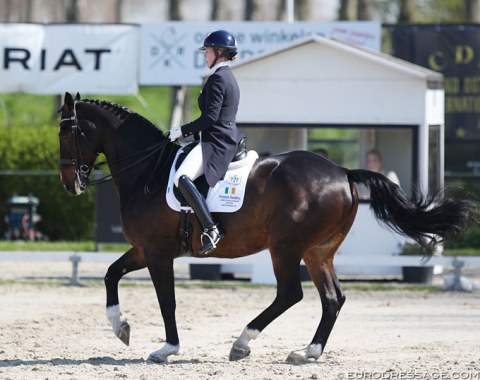 Ireland's Kate Dwyer on the 13-year old gelding Snowdon Faberge (by Foxcourt Fabelhaft)