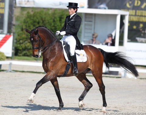 Ryunosuke Kuroda on his second Grand Prix horse, Christoph Koschel's former ride Rostropowitsch. Named after the most famous cello player, the bay gelding by Rockwell x Coriograf B hasn't been in the CDI arena for almost two years