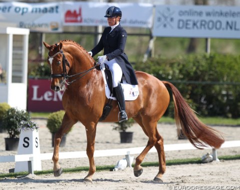 Christa Larmoyeur and Aston Martin NL. Their path is like the walk to Santiago de Compostella. The 14-year old KWPN gelding by Uphill x Cabochon lost an eye and then sustained a career ending injury, but made a miraculous recovery and they are now back at international Grand Prix level.