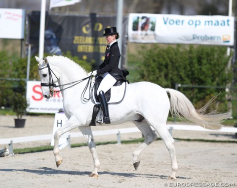 Danish duo Mai Tofte Olesen and the 17-year old Danish bred Rustique (by Heslegards Rubin x Midt West Ibi Light)