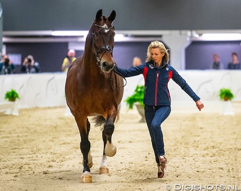 Laura Graves and her 17-year old KWPN stallion Verdades (by Florett As x Goya) are expected to be Isabell Werth's biggest rivals in Gothenburg