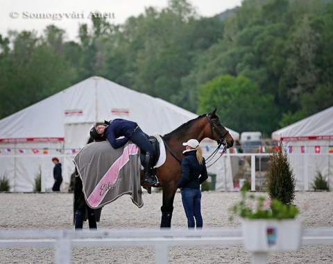 Stretching for rider and horse