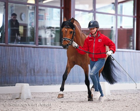 Swiss Antonia Winnewisser trotting up her pony