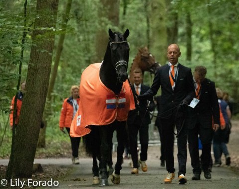 The Dutch team coming through the forest towards the para dressage arena for the trot up