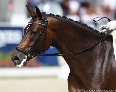Both Andreas Helgstrand and Bart Veeze had two horses qualified for the 6-year old Finals. This is Veeze's KWPN mare Imagine (by Dream Boy x Jackson), owned by Theo Driessen