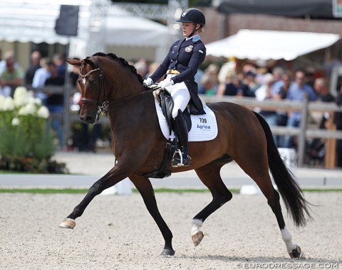 Jeanna Hogberg on the Swedish warmblood mare Astoria. This is the best performing offspring by international Grand Prix horse Sir Donnerhall II so far